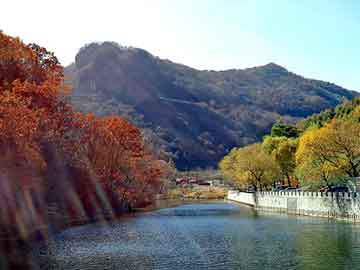 新澳天天免費(fèi)好彩六肖,見(jiàn)解執(zhí)行策略落實(shí)_白銀版9.705